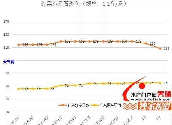 翡翠四爪镶嵌戒指图片，「华丽珠宝」翡翠四爪镶嵌戒指图片展示，品味尊贵生活