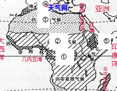 翡翠圆牌锁骨项链图片-翡翠圆牌锁骨项链图片大全