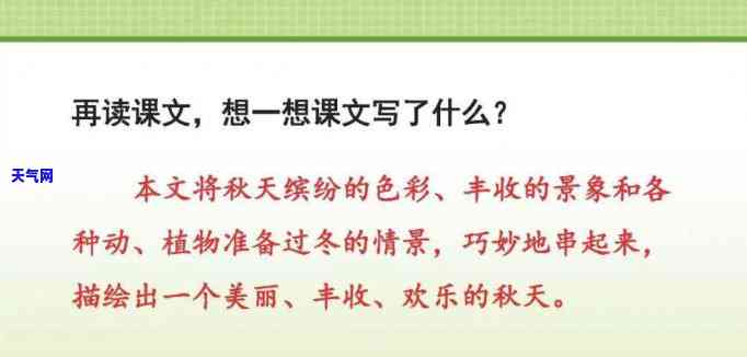 高级玉石原石，探索高级玉石原石的神秘世界：价值连城的独特宝藏