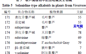 银貔貅项链的寓意解析：深度解读其象征意义与文化内涵