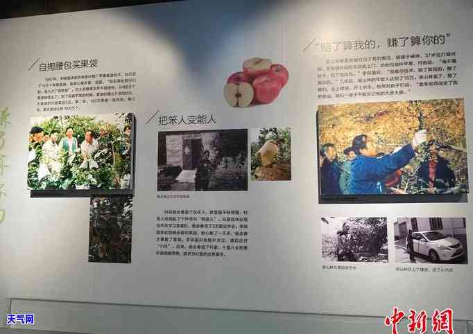 精美翡翠耳环耳饰图片大全，尽在翡翠耳环耳坠展示区