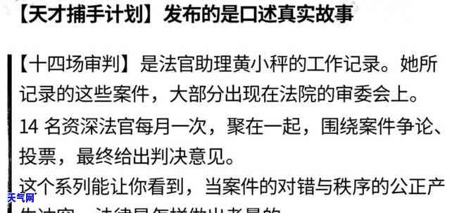 龙鳞翡翠价格：整体、单位克数及单件的全盘解析