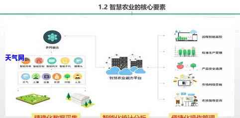 翡翠产品定位：从策略到图表的全面解析