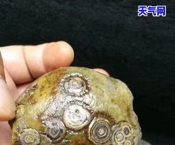 九眼天珠原石图片大全：高清大图与精美欣赏