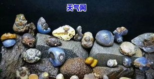 九眼天珠原石-九眼天珠原石图片大全