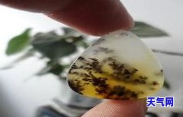 黄龙玉水草花挂件价格全览：图片与实际价格对比