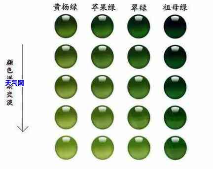 阳绿翡翠特征：颜色、透明度、质地等全面解析