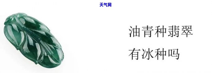 高冰油青翡翠值钱吗，探讨高冰油青翡翠的价值：它真的值得投资吗？