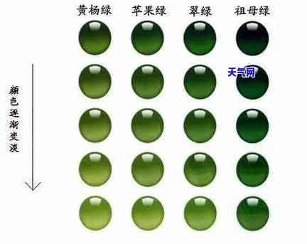 瓶绿色的翡翠：品种、特性和命名全解