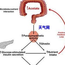 精与玉石的反应原理，揭示精与玉石之间的神秘化学反应原理