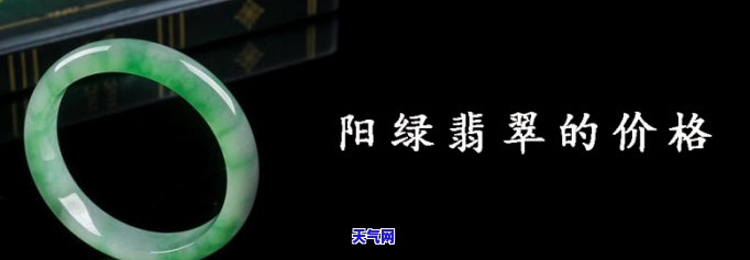 阳绿翡翠价值，探究阳绿翡翠的价值：价格、品质与鉴赏技巧