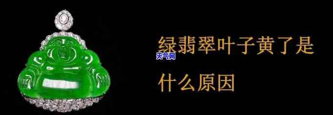 钻石翡翠叶子发黄怎么办？快速解决方法视频