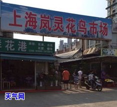 寻找邵阳玉石古玩市场：详细地址与交通指南