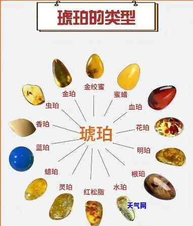 金珀和蓝珀的区别：从颜色、形成到价值，一图看懂