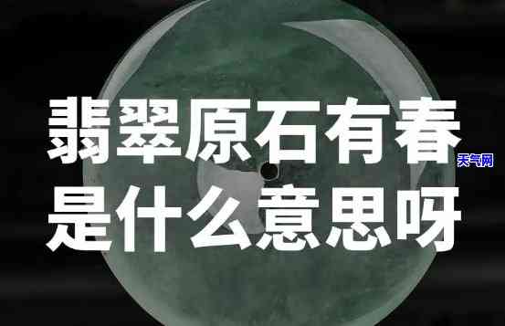 翡翠原石春料知识大全-翡翠原石春料知识大全图片