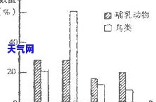 探究金刚石台面的优缺点：全面分析其性能与实用性