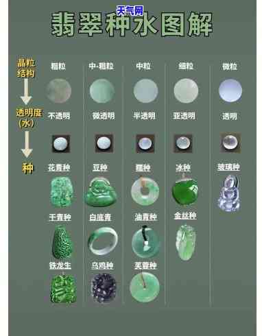 翡翠能携带新冠病吗？科学解析与最新研究