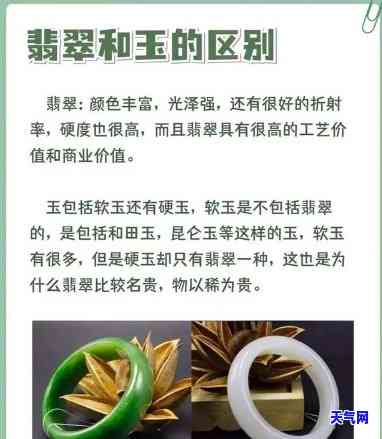 翡翠手镯：是玉还是玉更好？探讨其本质与价值