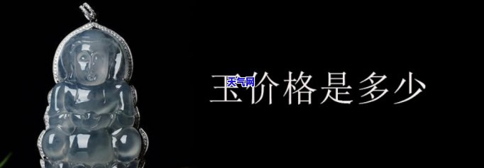 翡翠玉什么价格，探究翡翠玉的价格：从入门到专业解析