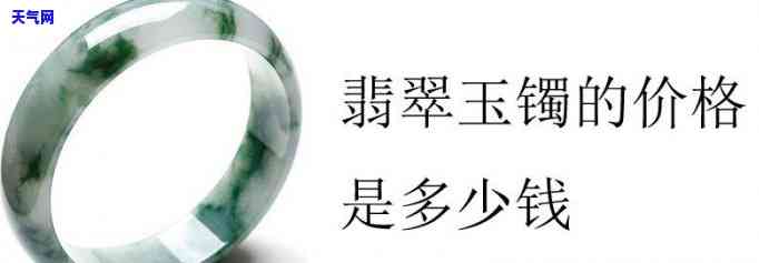 翡翠玉什么价格，探究翡翠玉的价格：从入门到专业解析