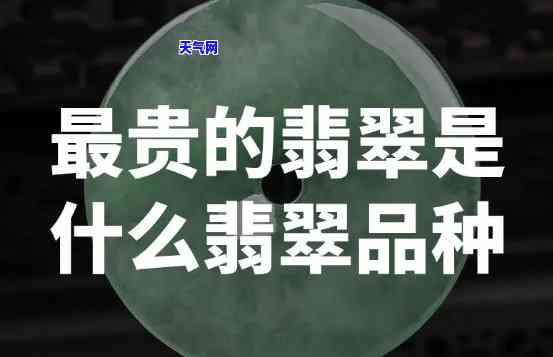 顶级翡翠是什么种，揭秘顶级翡翠的神秘面纱：究竟是哪种翡翠？