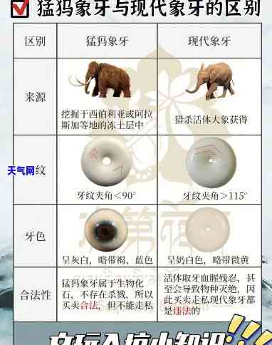 象牙好还是翡翠好呢，比较分析：象牙与翡翠的优缺点，哪种更好？