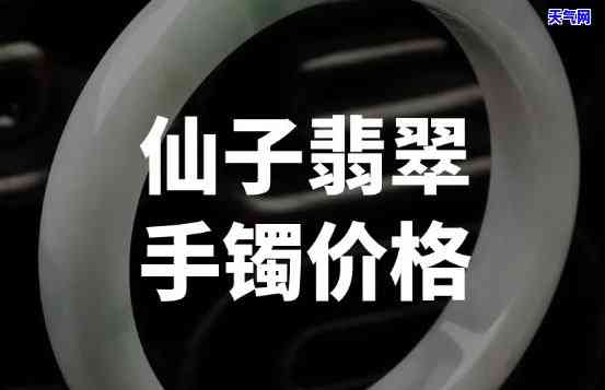 翡翠美人鱼镯子值钱吗多少钱，价格揭秘：翡翠美人鱼镯子的市场价值究竟几何？