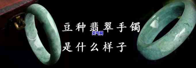 豆种翡翠手镯特点，深入了解豆种翡翠手镯：特点、品质及选购指南