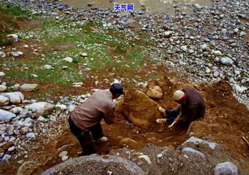 新疆和田挖玉石的地方，揭秘新疆和田玉石开采地：神秘的地下世界与璀璨宝石的故事