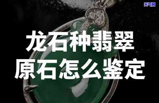 静水龙石种翡翠-翡翠种水龙石种