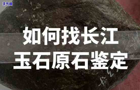 长江产出哪些玉石品种？最多的又是什么？