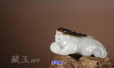 黑皮料翡翠原石，揭秘翡翠原石界的神秘面纱：黑皮料的独特魅力与价值探讨