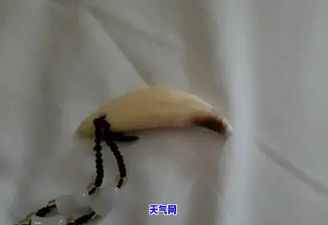 貔貅牙齿断了一个，如何修复？附图教程