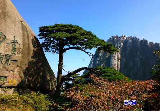 黄山迎客松翡翠-黄山迎客松价格