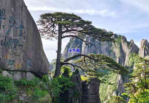 黄山迎客松翡翠-黄山迎客松价格