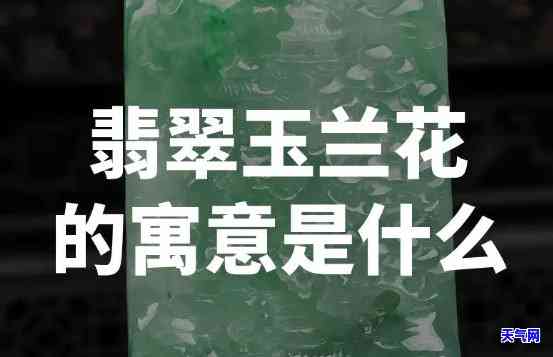 翡翠带兰花的好还是翠的好，翡翠配兰花好还是翠的好？一文为你解答