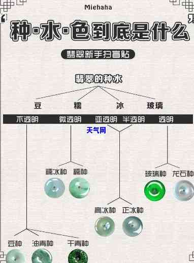 翡翠色料如何判断种水质量？从色泽、透明度、净度等方面入手