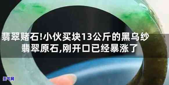 黑乌蛇翡翠原石值钱吗，探究价值：黑乌蛇翡翠原石是否值得投资？