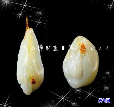 翡翠蓝藓和蓝花，绚丽多彩：翡翠蓝藓与蓝花的美丽邂逅