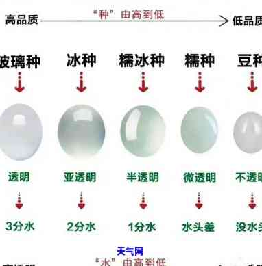 翡翠毛货珠子：看种水技巧与抛光后尺寸变化