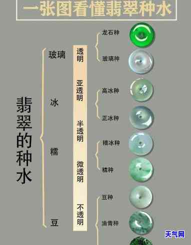 翡翠种水好：全面解析与教学视频