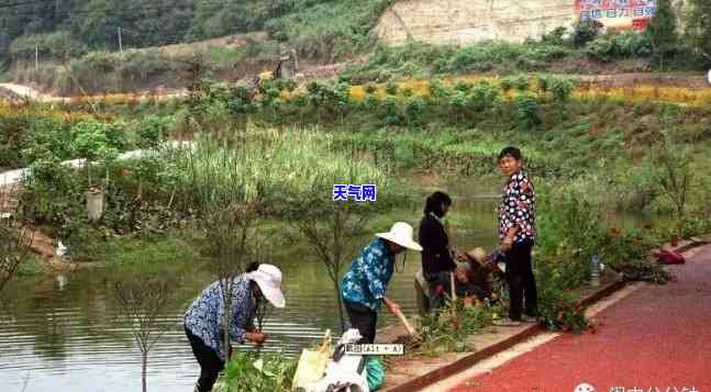 自贡九洪村：村小情况调查报告