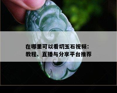 在哪里可以看切玉石视频：教程、直播与分享平台推荐