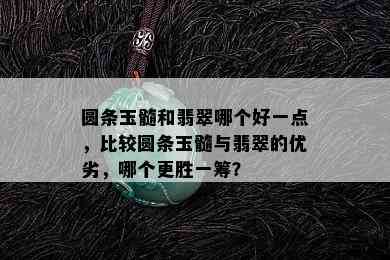 圆条玉髓和翡翠哪个好一点，比较圆条玉髓与翡翠的优劣，哪个更胜一筹？