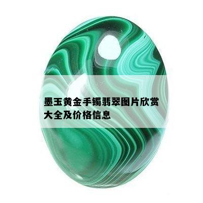 墨玉黄金手镯翡翠图片欣赏大全及价格信息