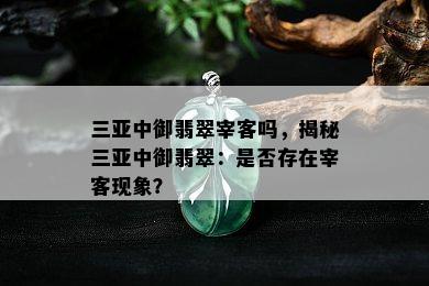 三亚中御翡翠宰客吗，揭秘三亚中御翡翠：是否存在宰客现象？