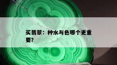 买翡翠：种水与色哪个更重要？