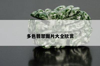 多色翡翠图片大全欣赏