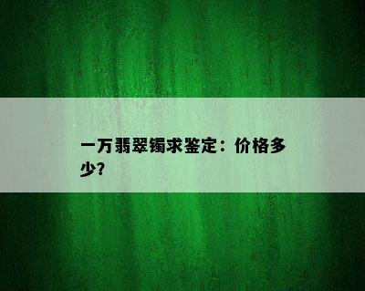 一万翡翠镯求鉴定：价格多少？