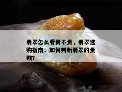 翡翠怎么看贵不贵，翡翠选购指南：如何判断翡翠的贵贱？